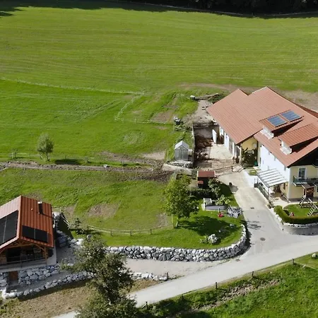 Steger Apartament