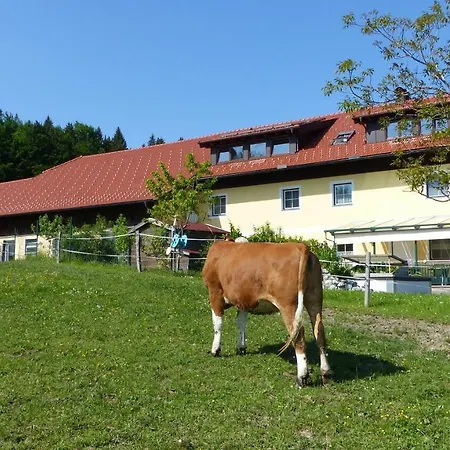 Apartament Steger