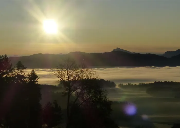 Steger Appartement *