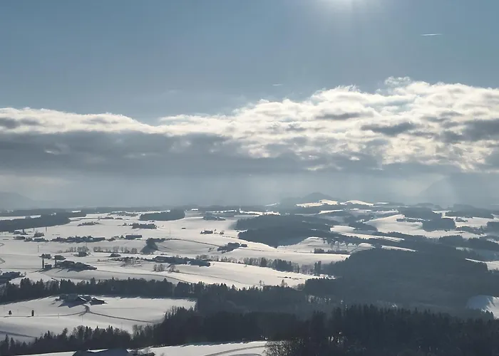 Steger Appartement *